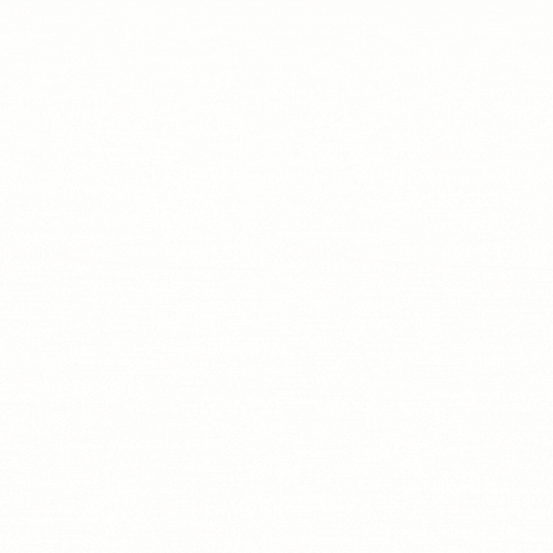 Troop Leader Central GIF