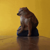 Cheemsmeme GIF by Revicheems - Find & Share on GIPHY