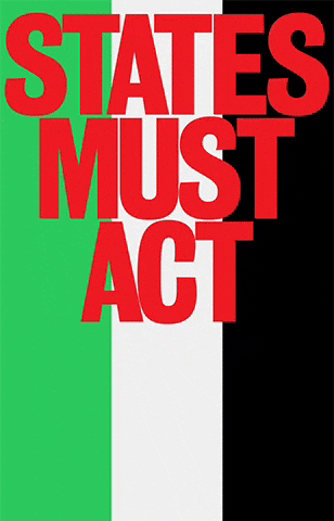 Diego Feijóo Studio GIF