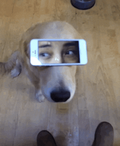 giphy.gif?cid=4d1e4f29d8cf0c03627d2651fad12fa0853821d0ff5b8fc3&rid=giphy.gif