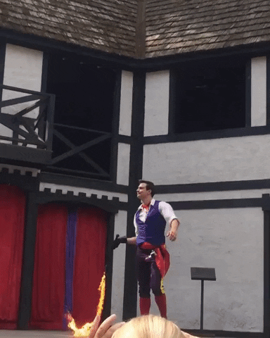 King Richards Faire GIF