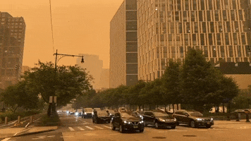 New York City Smoke GIF by Storyful