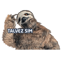 DIRECTV GO BRASIL Sticker