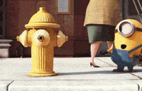 Alexander Minion GIFs