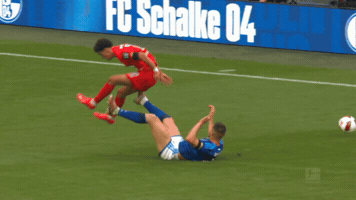 Bundesliga Slide GIF by FC Schalke 04