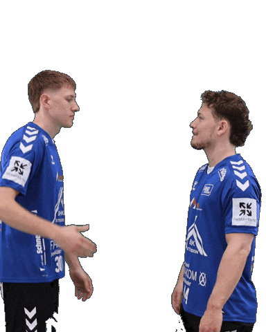Handball Sticker by HSGSpradow