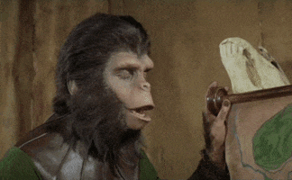 planet of the apes eye roll GIF