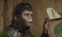 200w.gif