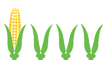 Sticker by Avani Eco