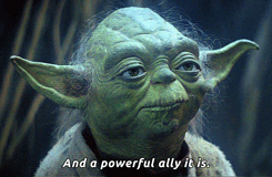 giphy.gif