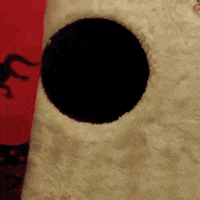 Black Holes GIFs - Find & Share on GIPHY