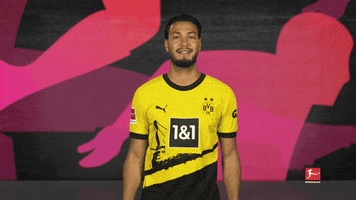 Borussia Dortmund Thumbs Up GIF by Bundesliga