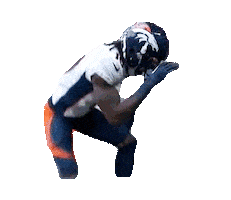 Denver Broncos Football Sticker by NFL