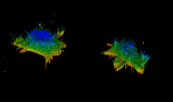 Biology Cells GIF by Johns Hopkins University