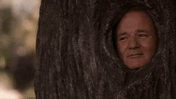 Movie gif. Bill Murray as Agent 13 in Get Smart has his head fitted perfectly in a tree trunk hole. He squeezes his eyes shut as he tearfully shakes his head no.