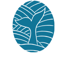 Sewing Pattern Sticker by Waves and Wild