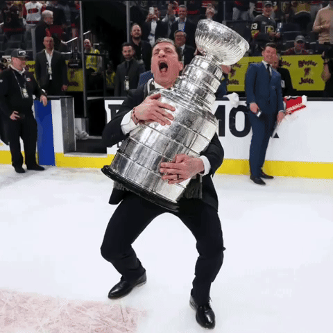 Stanley Cup Nhl GIF
