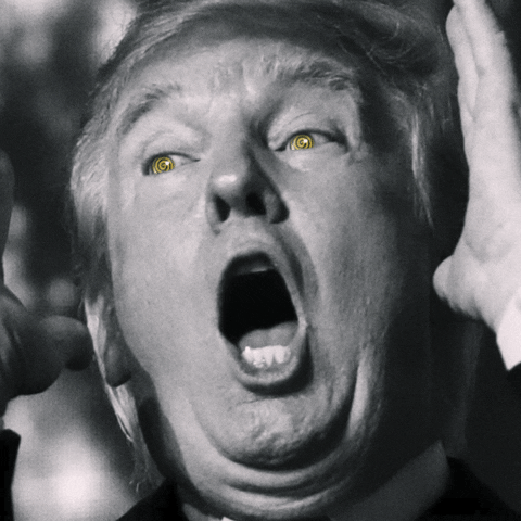 Angry Donald Trump GIF by xponentialdesign