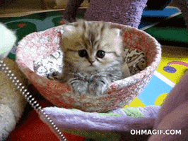 safe for work hello GIF