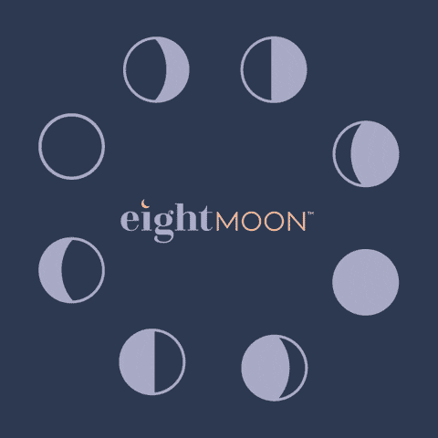 eightmoonmsp space night moon sky GIF