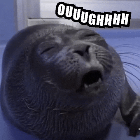 Seal Yell GIF