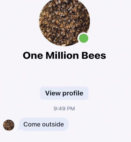 Come Outside Bees GIF