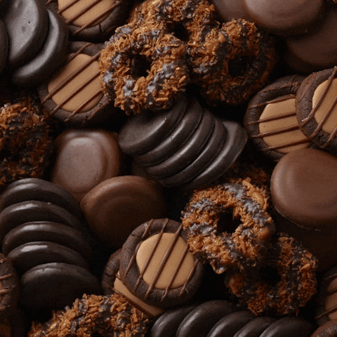 GIF by Little Brownie Bakers