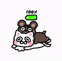 Happy Cat GIF