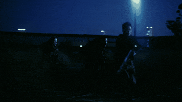 Leonardo Dicaprio Pta GIF