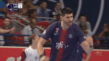 happy luka stepancic GIF by Paris Saint-Germain Handball