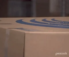 Dwight emerges from box