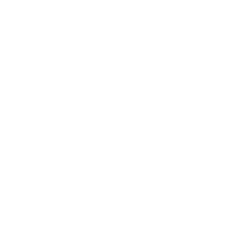 Illustration Shine Sticker