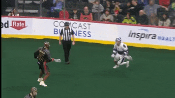 Lacrosse GIF