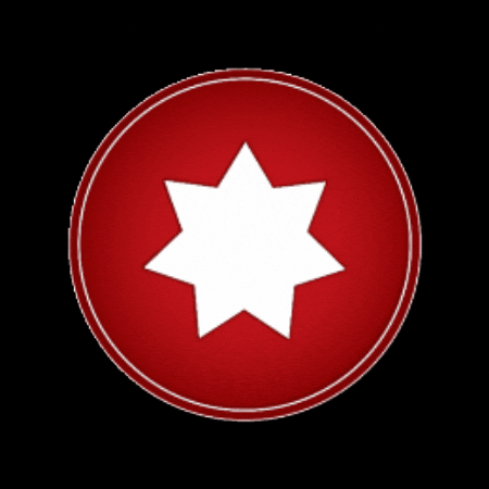Flag GIF by All Jordan Youth Commission