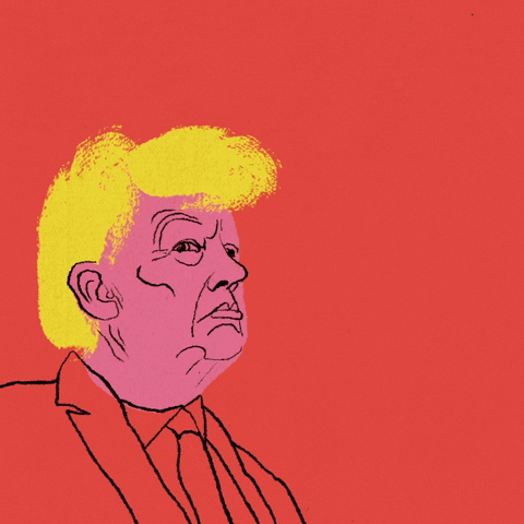Presidential Debate Trump GIF by Creative Courage