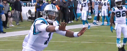giphy.gif