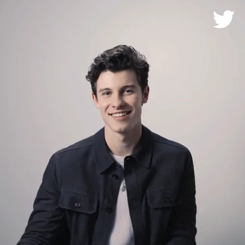 shawn mendes thumbs up GIF by Twitter