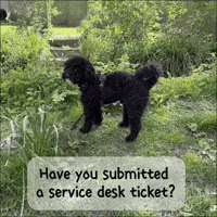 ticket-enzohasnotes-service-desk-MT4jVtZOKhWVLcBcXG
