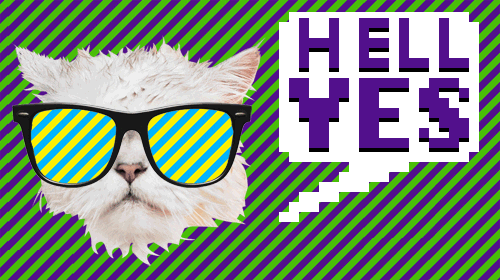  hell yes party cat sunglasses mr GIF