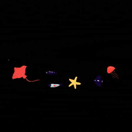 Rajaplavanie GIF by Raja – škola športu