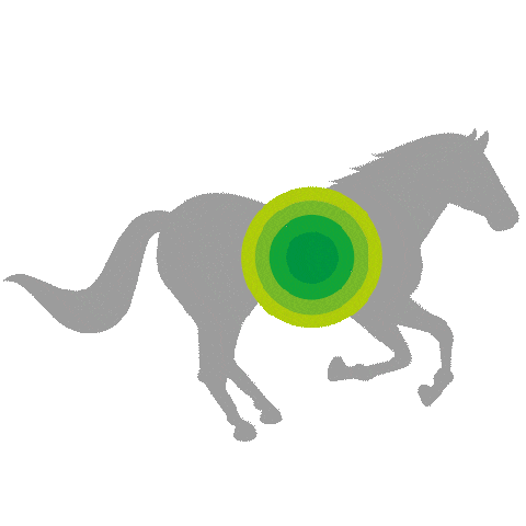 BB Horses Sticker
