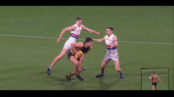 afl darcy fogarty GIF by Adelaide Crows
