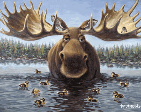 moose