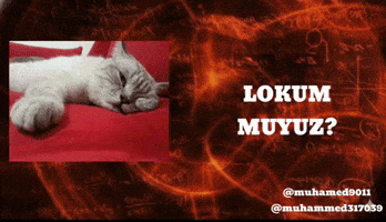 Muhamed9011 GIF