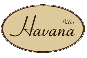 Logo Havana Sticker
