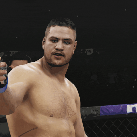 ufc 3 fight GIF by EA SPORTS UFC