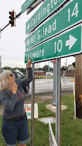 Lizz Winstead Road Sign GIF by Abortion Access Front