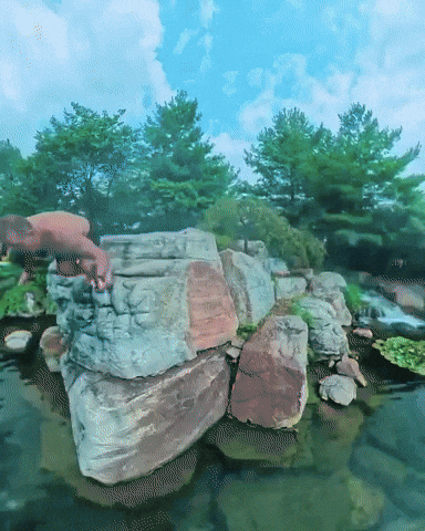 Aquascape Free Dive GIF