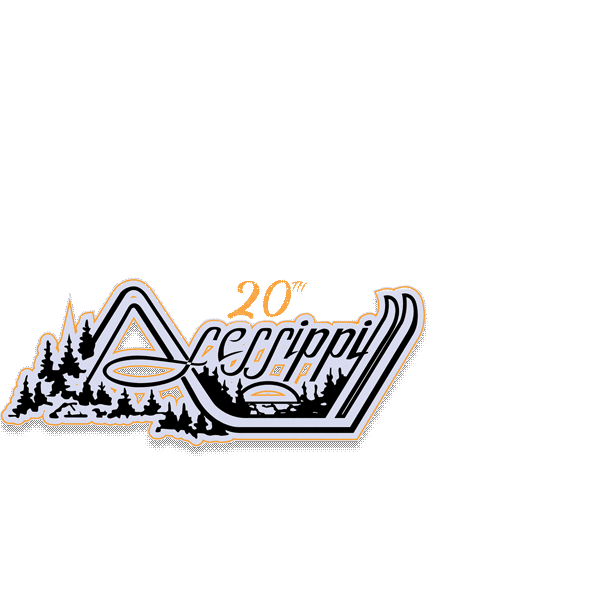 Snow Winter Sticker by Asessippi Ski Resort