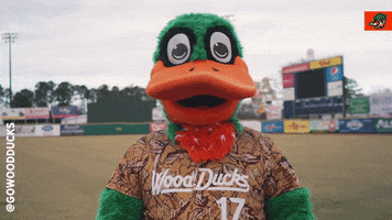 Baseball Texas GIF by Down East Wood Ducks